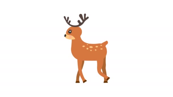 Cartoon Deer Walking Animation Optional Luma Matte Alpha Luma Matte — Vídeos de Stock