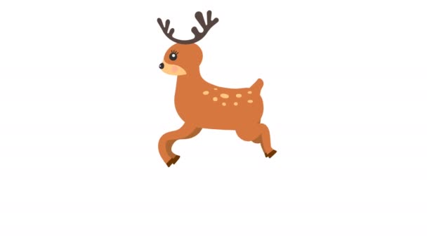 オプションのルママットで鹿歩行アニメーションを実行しています アルファ マットが含まれていた 4Kビデオ — ストック動画