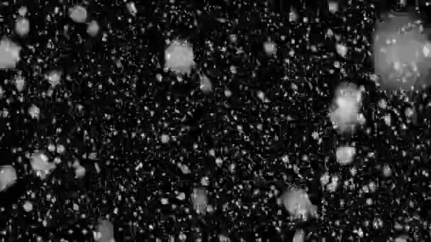 Falling Snowflakes Animation Video Loopable — Video