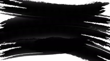 Paint splash animation with optional luma matte. Alpha Luma Matte included. 4k video