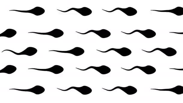 Мультипликационный Цикл Bacground Икона Spermatozoon Движущийся Белый Сперматозоид Текстура Фона — стоковое видео
