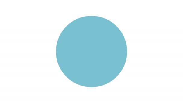 Pie绘制动画图 圆圈圈圆圈图 信息图 色彩斑斓的白色背景信息 带有可选Luma垫的动画 — 图库视频影像