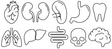 İnsan iç organları ikonları. Vektör çizimi. Eps 10.