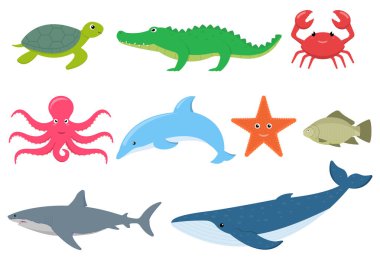 Değişik deniz ve su hayvanlarını detaylı olarak gösteren heyecan verici ve canlı bir illüstrasyon.