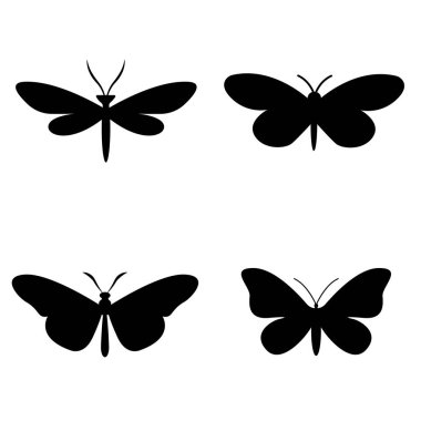 Böcek Koleksiyonu. Antik böcekler, Jura Dönemi