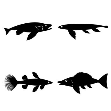 Canavar balık koleksiyonu. Mariana Çukurundan balık