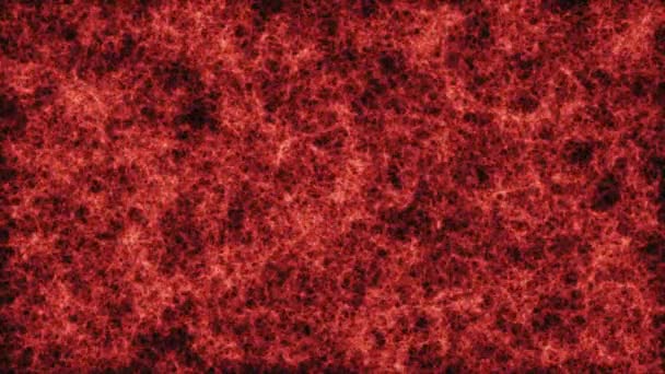 Superficie Del Sol Textura Lava — Vídeo de stock