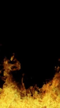 Siyah arka planda gerçek bir yangın. Ateşin dikey videosu