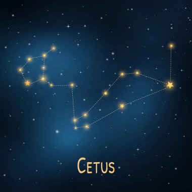 Yıldızlı bir gecede Cetus takımyıldızı: astronomi, bilim, evren, gök şekilleri.