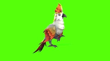 Parrot Idle Green Screen Animation 3D Rendering