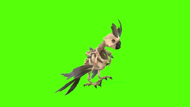 Skeleton Parrot Dancing Green Screen Animation Rendering — стоковое видео