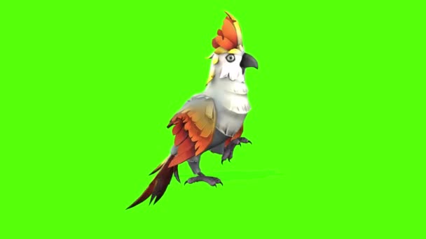 Parrot Idle Green Screen Animation Rendering — Stockvideo