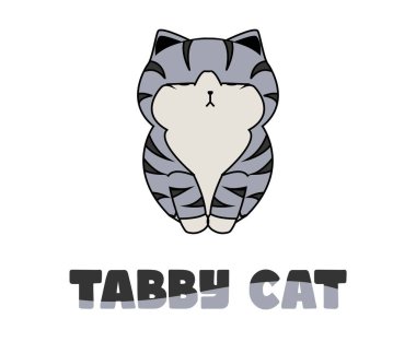 Şirin kedi karakteri, adı tekir kedi.