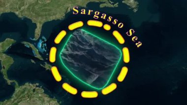Sargasso Deniz Haritası - Animasyon 3D