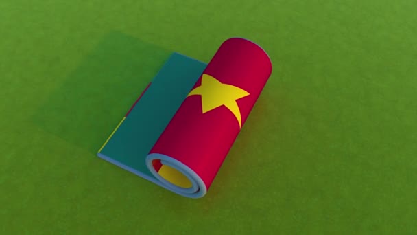 Σημαία Καμερούν Κινούμενα Σχέδια — Αρχείο Βίντεο