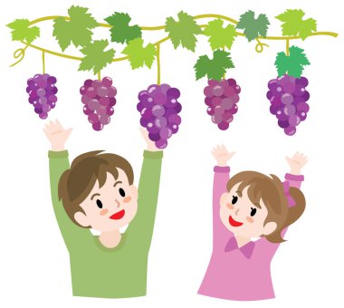 Üzüm toplayan çocukların resimleri..