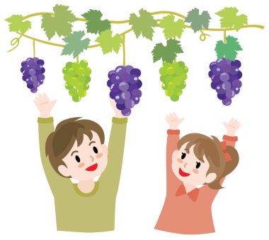 Üzüm toplayan çocukların resimleri..