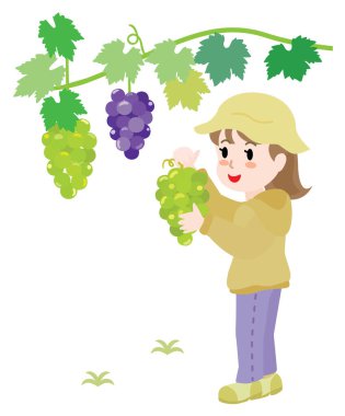 Üzüm toplayan bir kızın resmi..