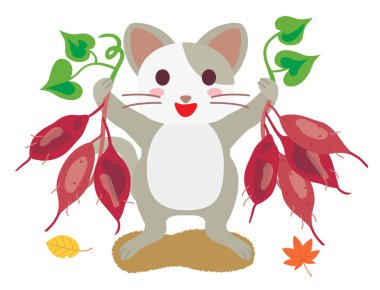 Tatlı patates hasadından memnun bir kedi.