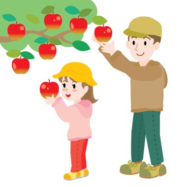 Bir ebeveyn ve çocuk elma topluyor.
