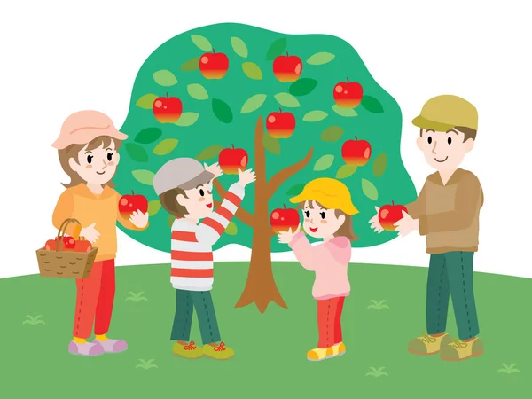 Родина Робить Збирання Яблук — стоковий вектор