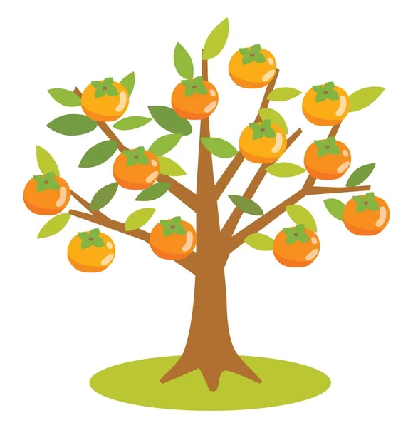 Bir hurma ağacının tasviri