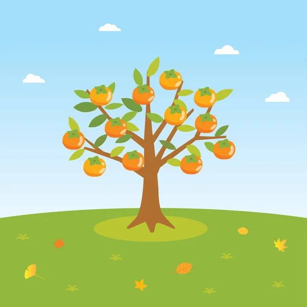 Hurma ağacının manzarası.