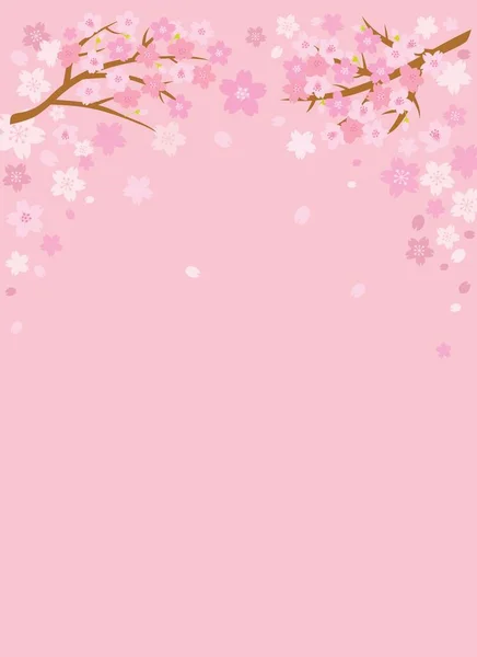 Cherry blossom sakura background with space for your text. Vector illustration.