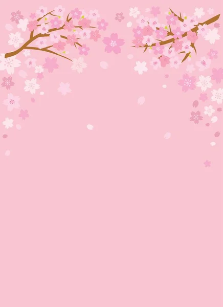 Cherry Blossom Sakura Background Space Your Text Vector Illustration ロイヤリティフリーのストックイラスト