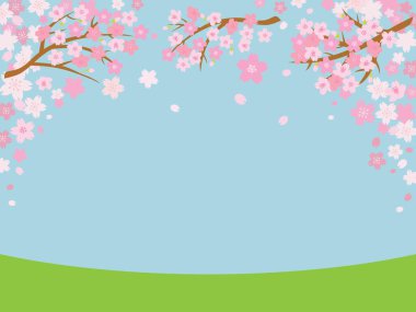 Spring cherry blossom background and blue sky. Vector illustration.