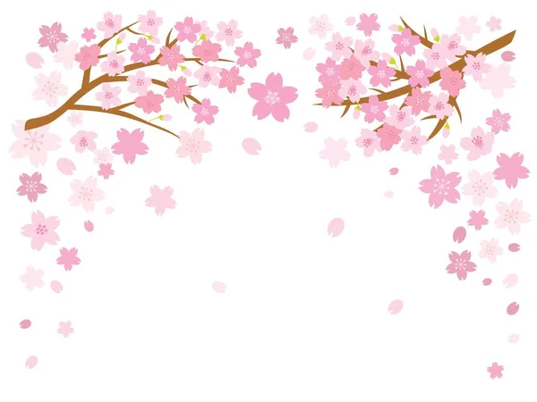 Cherry blossom frame on white background. Vector illustration.