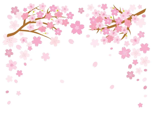 Cherry Blossom Frame White Background Vector Illustration ストックベクター