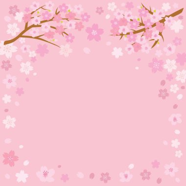 Cherry blossom spring background with space for text. Vector illustration.