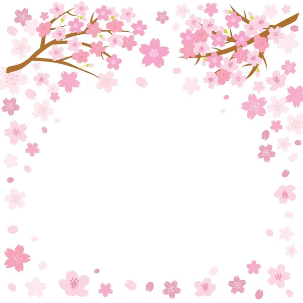 Cherry blossom spring background with space for text. Vector illustration.