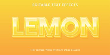 3D editable text effect