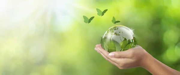 environmental conservation earth concept, woman holding globe under leaf and butterfly flying nearby, earth in woman\'s hand green bokeh background and white light