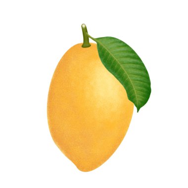 Mango meyveli illüstrasyon. Beyaz arkaplanda izole edilmiş mango.