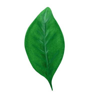 Turuncu illüstrasyon, renkli resim.