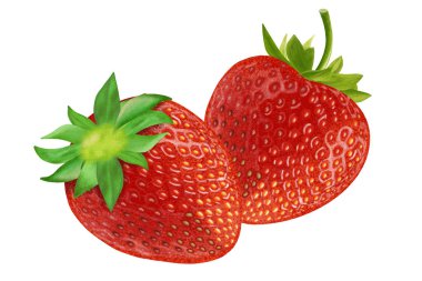 Çilekli taze meyve çizimi, renkli resim..