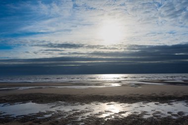 Gün batımında uçan martılar. Mavi gökyüzünde denizlerin üzerinde uçan martılar