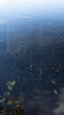 Gölün yansıması gibi. Orman ve büyük gökyüzü