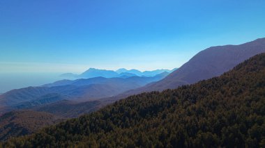 Dağ manzarası. Kahverengi orman mavi gökyüzü güzel manzara