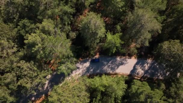 Pohled Vrcholu Auta Lese Auto Stojící Lese Kopce Dronem — Stock video