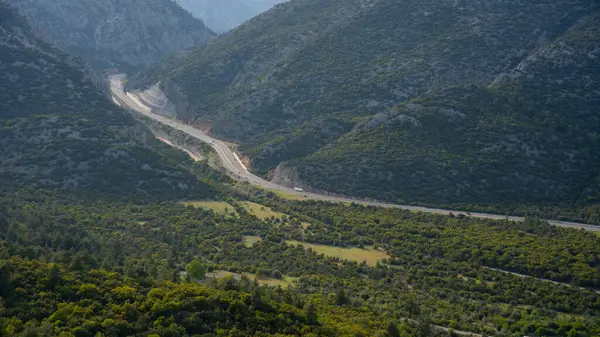 Orman manzarası. Ovadaki otoban ve ormanlık arazi