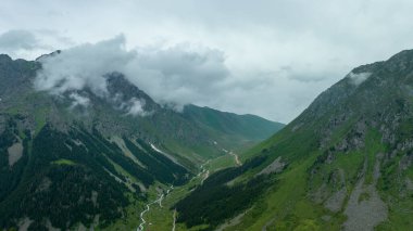 Dağ zirvesi. Orman dağının tepesinde bulutlar ve sis bulutu. Harika manzara fotoğrafı.