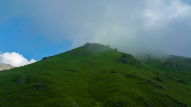 Dağ zirvesi. Orman dağının tepesinde bulutlar ve sis bulutu. Harika manzara fotoğrafı.