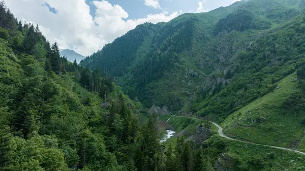 Dağ zirvesi. Orman dağının tepesinde bulutlar ve sis bulutu. Harika manzara fotoğrafı.