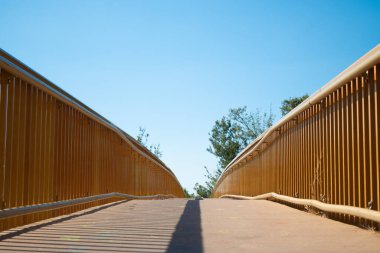 Sarı renkli üst geçit yolu, Timsah 'ı kaplayan Darwin, Avustralya' da Rapid Creek 'te yaşamaktaydı..