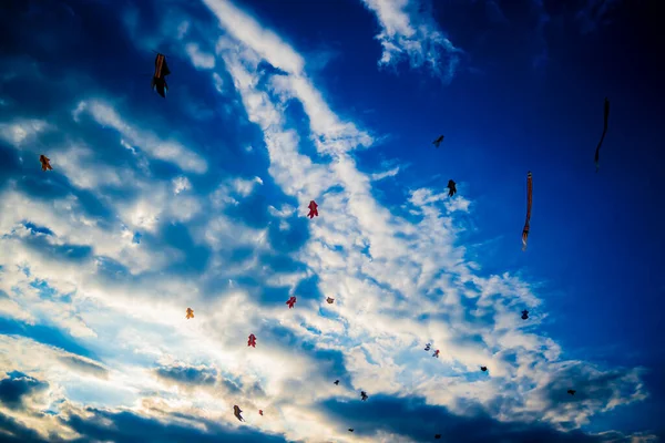 Een Zwerm Kleurrijke Vliegers Tegen Een Bewolkte Blauwe Lucht Bij — Stockfoto
