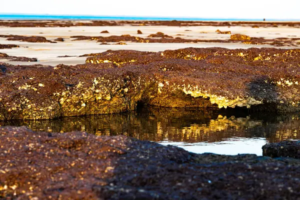 A tidal rock pool with mini caves and a gold colored facade reflected in the calm water.